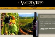 智利葡萄酒品牌 - Valdivieso