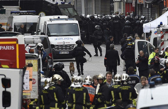 全球汪星人晒自拍 向巴黎恐袭遇难警犬致敬