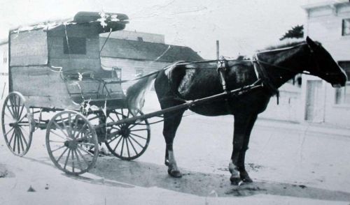 早年Ching Lee 洗衣店是用马车到旧金山收取和送回他们洗涤的客户衣服。