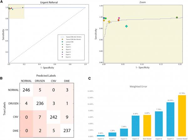 重磅！中国科学家最新医学AI成果荣登《细胞》杂志