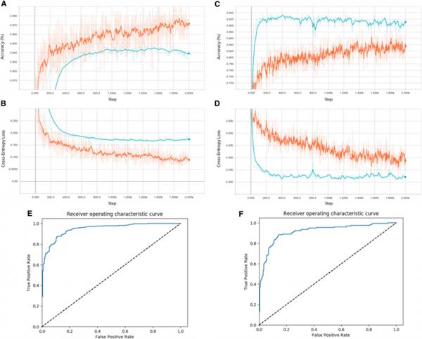 重磅！中国科学家最新医学AI成果荣登《细胞》杂志