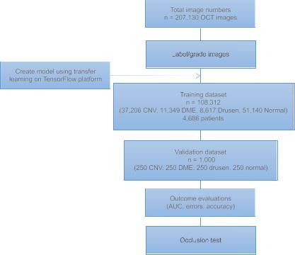 重磅！中国科学家最新医学AI成果荣登《细胞》杂志