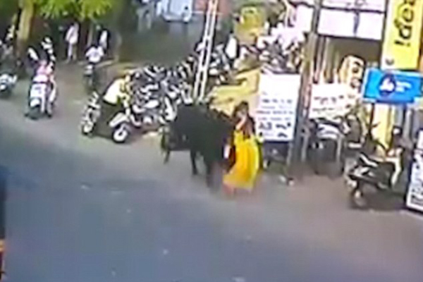 飞来横祸！印度一女子马路上被公牛从背后顶飞