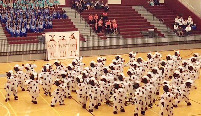美高中舞蹈队扮成奶牛滑稽表演走红网络