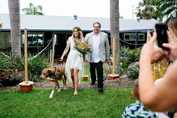 澳爱心人士举办节俭婚礼 其爱犬担当摄像师