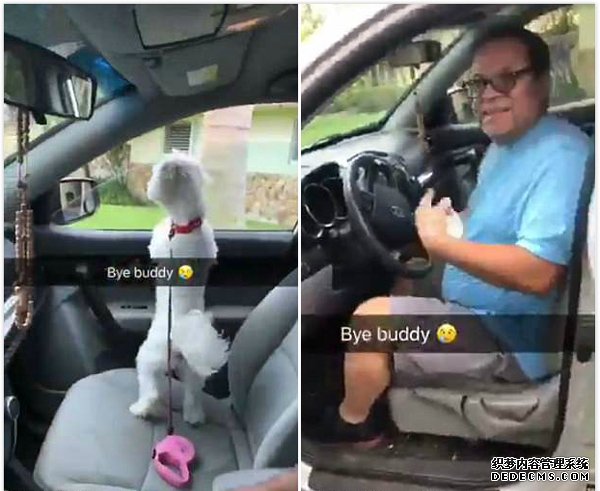 乌龙！美迷糊父亲宠物店误认别人家的狗并带回