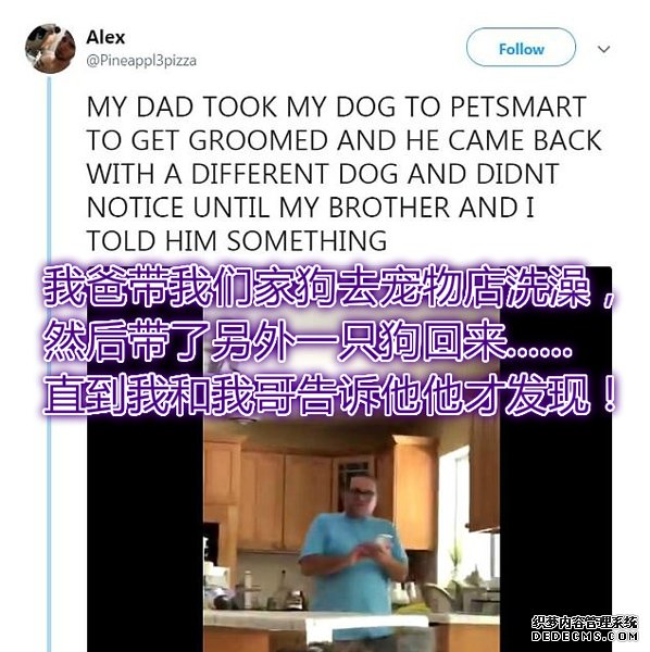 乌龙！美迷糊父亲宠物店误认别人家的狗并带回