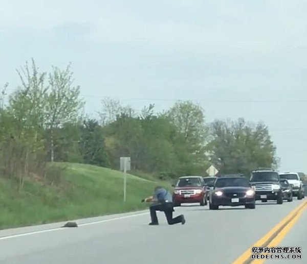 美警察因发狂土拨鼠妨碍交通将其射杀