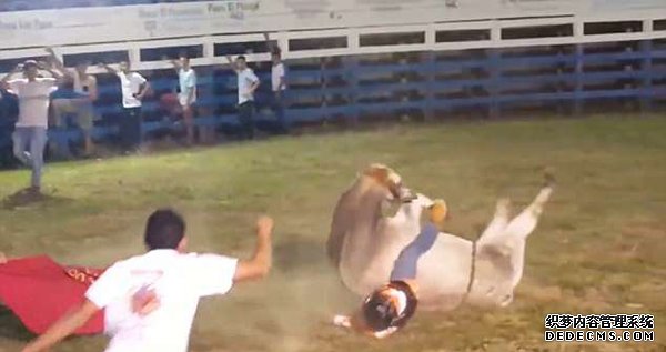 牛仔骑手竞技场惨遭公牛压身甩出不幸去世