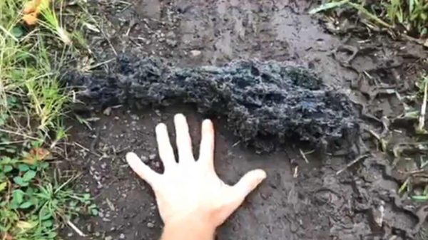 男子冒死直播夏威夷火山喷发 大块熔岩从天而降