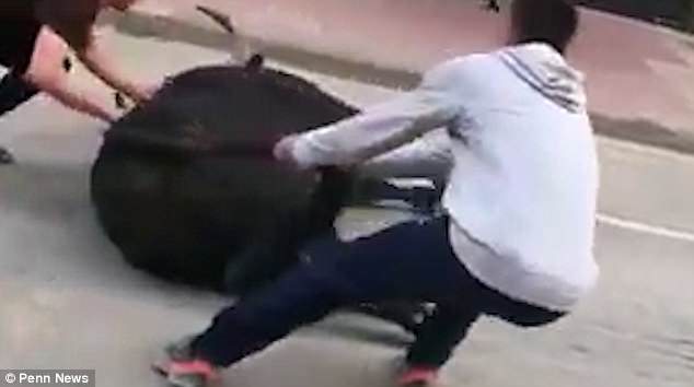 西班牙一公牛被关太久无法站立用角猛撞地面