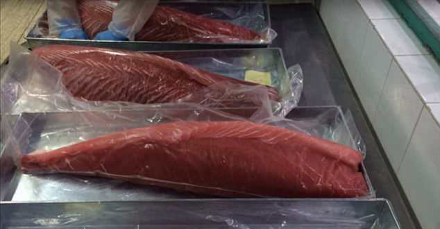 视频曝光越南工厂处理不新鲜鱼肉 伪装成新鲜肉流入市场