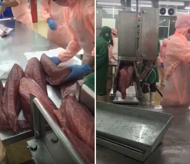 视频曝光越南工厂处理不新鲜鱼肉 伪装成新鲜肉流入市场