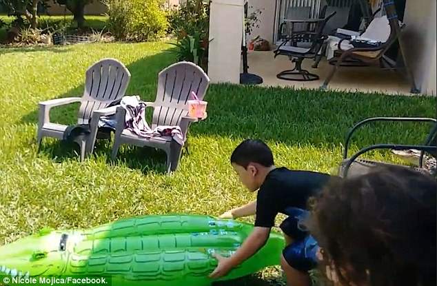 美男孩后院玩充气鳄鱼玩具 不知身旁藏有真鳄鱼