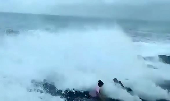 视频记录印度游客被巨浪卷入水中丧生一幕