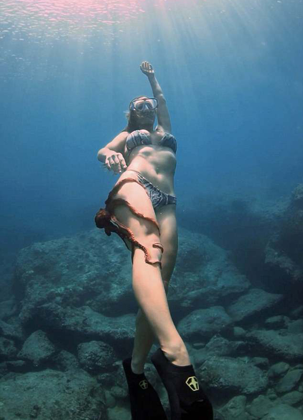 夏威夷章鱼吸附潜水员腿上 偷懒搭顺风车