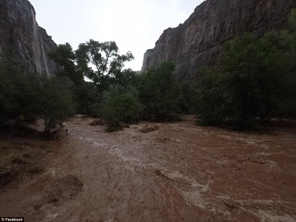 美大峡谷突降暴雨引发洪水 200名被困游客及时获救