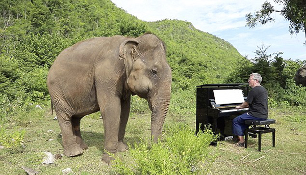 英国钢琴家为大象奏乐 失明大象随乐起舞