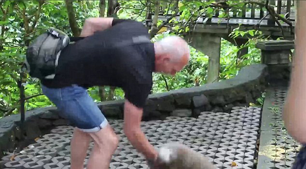 印尼森林公园一猴子抢食不成反咬合照游客