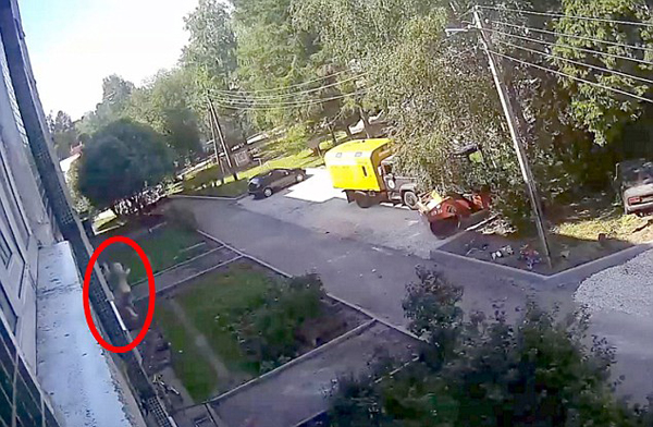 惊险！俄三岁男童从12米高空坠落幸被两工人解救