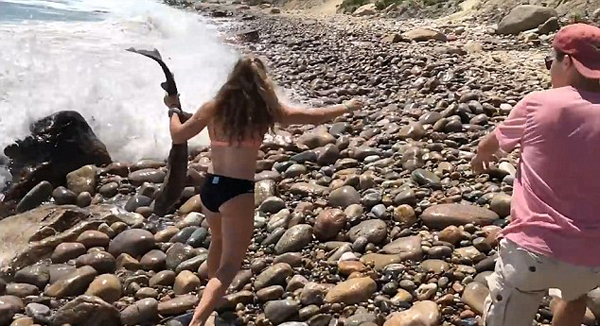 美国15岁少女勇救海滩搁浅小鲨鱼获网友点赞
