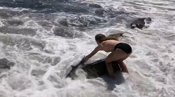 美国15岁少女勇救海滩搁浅小鲨鱼获网友点赞