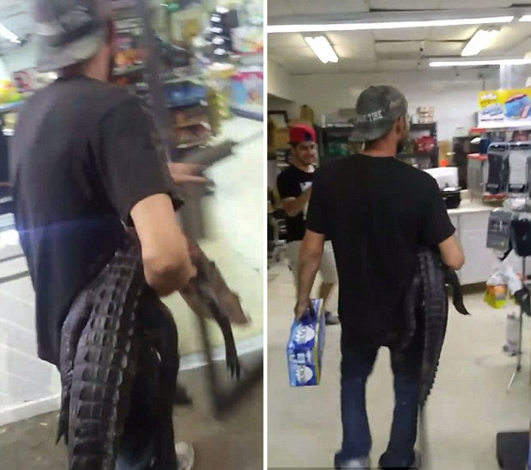 美国一男子抱鳄鱼进便利店吓顾客引发爆笑