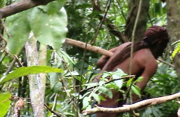 揭秘亚马逊一部落最后一名成员22年独立生活