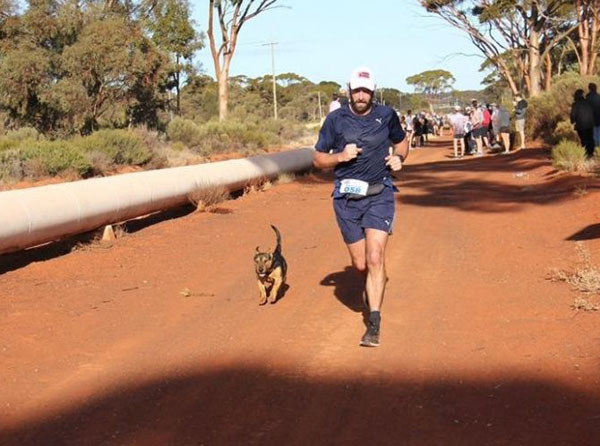 澳流浪狗混进人群参加马拉松 跑完全程获奖章