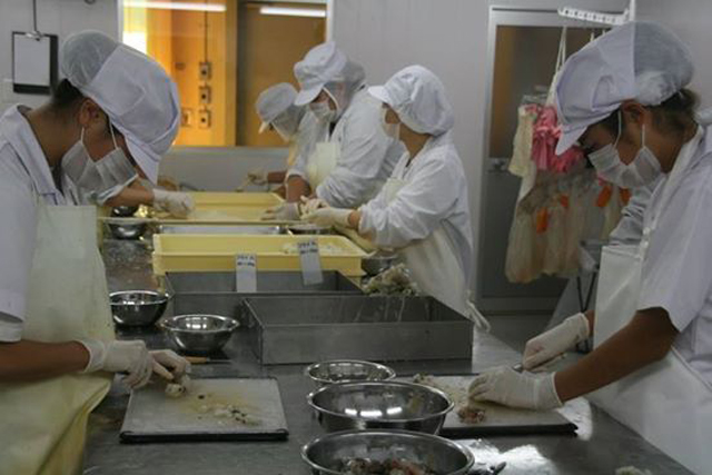 日本一海鲜厂员工“佛系”工作 上班时间自行决定