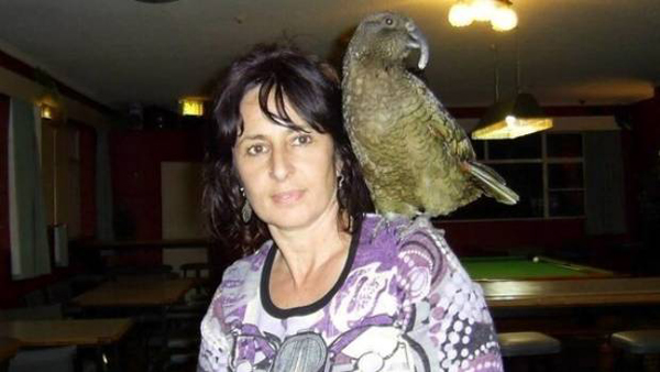 新西兰一家养啄羊鹦鹉活到45岁 爱喝可乐吃牛排