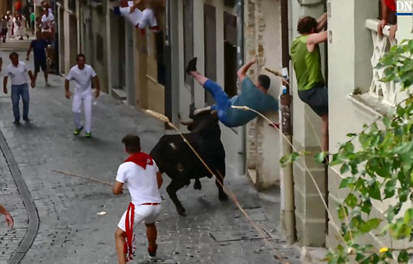 西班牙一公牛街上狂奔 疯狂攻击一无辜男子
