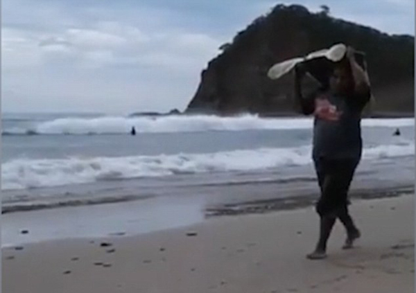 尼加拉瓜“准妈妈”海龟被盗猎者举头顶偷走