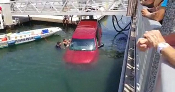 加州一汽车撞破码头护栏坠入海中 旁观者奋力搭救