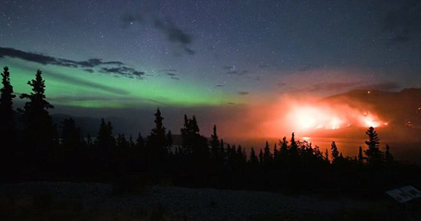 壮观！加拿大绿色极光与熊熊野火相伴照亮夜空