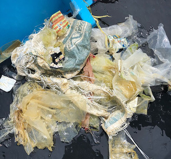 菲潜水员水下拍到大量塑料垃圾 呼吁环境保护