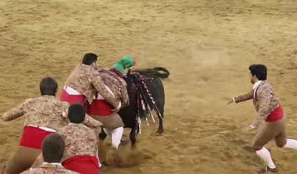 葡萄牙一斗牛士被公牛撞倒在地致癫痫发作
