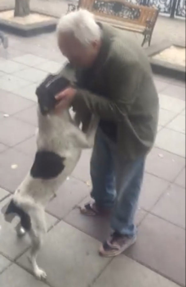暖心！格鲁吉亚男子寻爱犬三年终在家附近找到