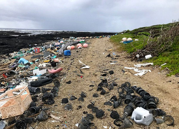 鱼类吞食塑料垃圾致死触目惊心 海洋保护迫在眉睫
