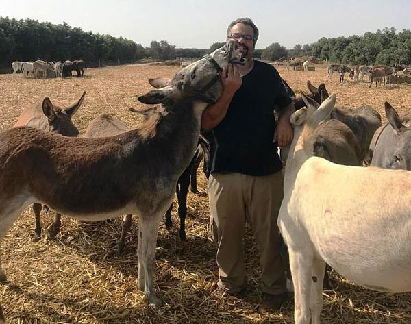 暖心！以色列毛驴见到分别12年饲养员后一眼认出