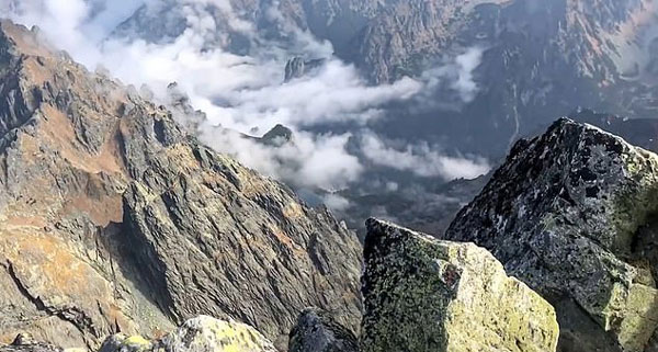 波兰登山者登峰顶后发现一只猫 网上晒图引热议