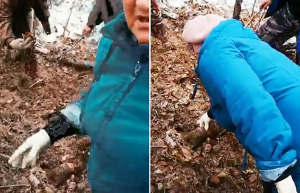 俄16岁少年为救弟弟遭野熊肢解死状惨烈