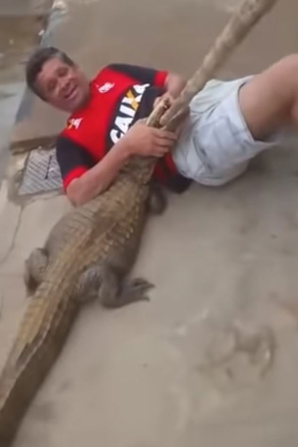 巴西街头惊现短吻鳄 男子试图抓捕反被扑倒咬伤手