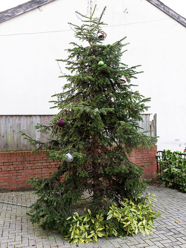 英媒体罗列各地造型奇特遭众人调侃圣诞树