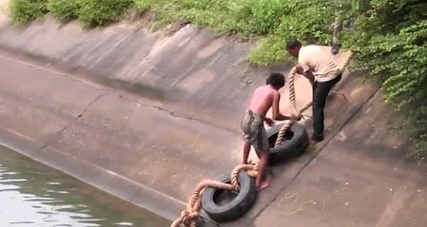 斯里兰卡救援人员巧制绳梯营救被困大象