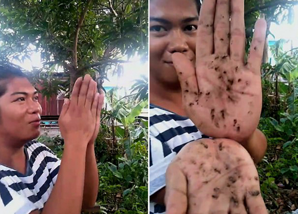 菲律宾化妆师发出“蚊虫低语”吸引蚊子并快速消灭