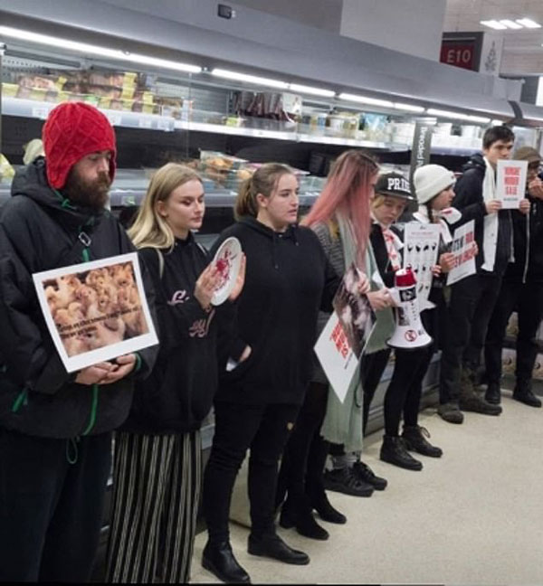 英激进动物保护组织占领超市 呼吁圣诞节拒食肉制品