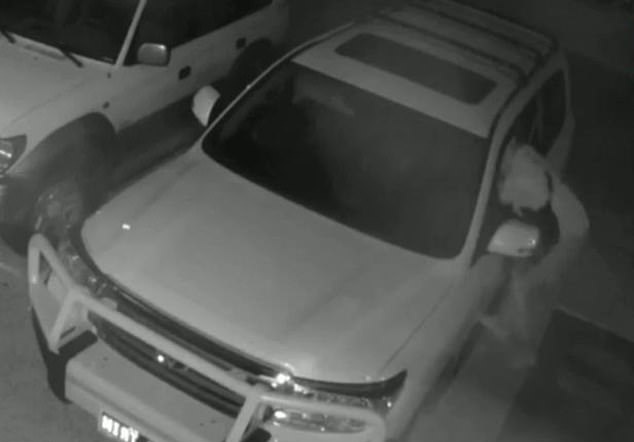 澳青年平安夜居民车中偷财物 路人阻止被喷胡椒粉