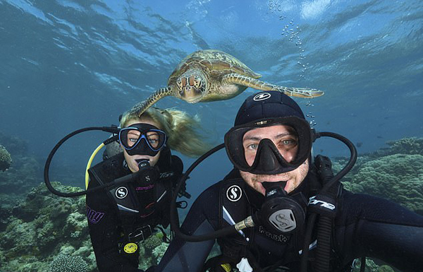 智利潜水员水下自拍遭大海龟抢镜