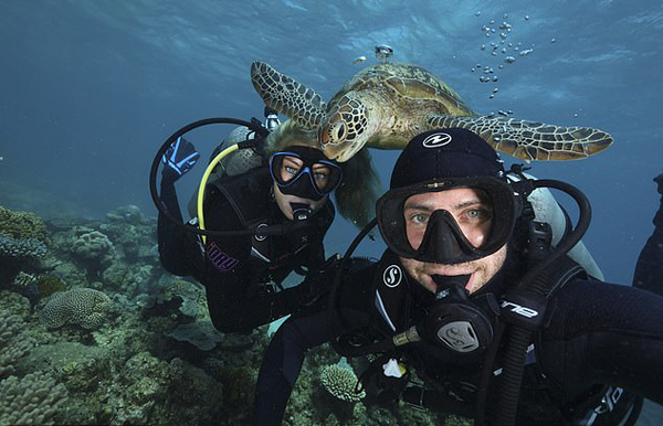 智利潜水员水下自拍遭大海龟抢镜